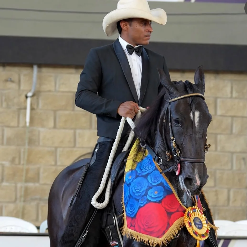 Jinete con caballo negro campeón y gualdrapa tricolor